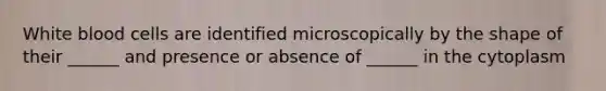 White blood cells are identified microscopically by the shape of their ______ and presence or absence of ______ in the cytoplasm