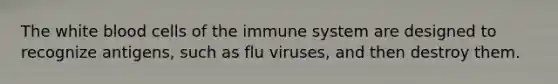 The white blood cells of the immune system are designed to recognize antigens, such as flu viruses, and then destroy them.