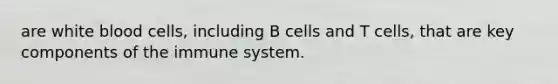 are white blood cells, including B cells and T cells, that are key components of the immune system.