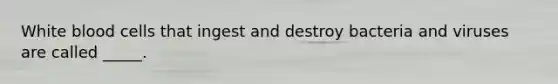 White blood cells that ingest and destroy bacteria and viruses are called _____.