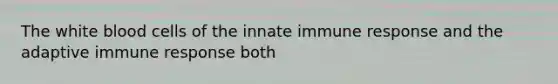 The white blood cells of the innate immune response and the adaptive immune response both