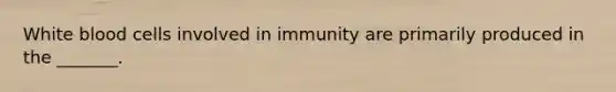 White blood cells involved in immunity are primarily produced in the _______.