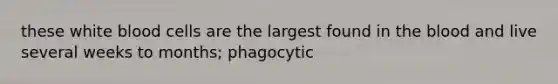 these white blood cells are the largest found in the blood and live several weeks to months; phagocytic