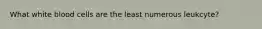 What white blood cells are the least numerous leukcyte?