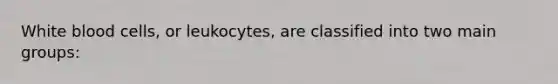 White blood cells, or leukocytes, are classified into two main groups: