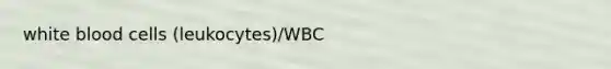 white blood cells (leukocytes)/WBC