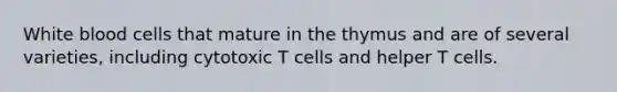 White blood cells that mature in the thymus and are of several varieties, including cytotoxic T cells and helper T cells.