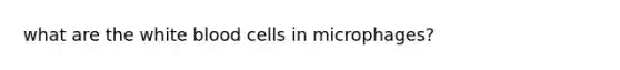 what are the white blood cells in microphages?