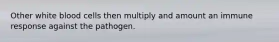 Other white blood cells then multiply and amount an immune response against the pathogen.