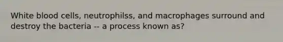 White blood cells, neutrophilss, and macrophages surround and destroy the bacteria -- a process known as?