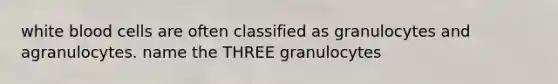 white blood cells are often classified as granulocytes and agranulocytes. name the THREE granulocytes