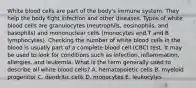 White blood cells are part of the body's immune system. They help the body fight infection and other diseases. Types of white blood cells are granulocytes (neutrophils, eosinophils, and basophils) and mononuclear cells (monocytes and T and B lymphocytes). Checking the number of white blood cells in the blood is usually part of a complete blood cell (CBC) test. It may be used to look for conditions such as infection, inflammation, allergies, and leukemia. What is the term generally used to describe all white blood cells? A. hematopoietic cells B. myeloid progenitor C. dendritic cells D. monocytes E. leukocytes