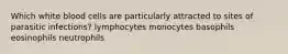 Which white blood cells are particularly attracted to sites of parasitic infections? lymphocytes monocytes basophils eosinophils neutrophils