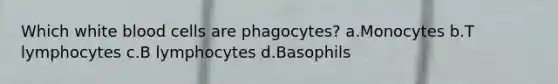 Which white blood cells are phagocytes? a.Monocytes b.T lymphocytes c.B lymphocytes d.Basophils