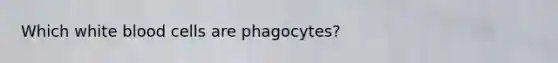 Which white blood cells are phagocytes?