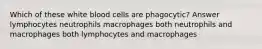 Which of these white blood cells are phagocytic? Answer lymphocytes neutrophils macrophages both neutrophils and macrophages both lymphocytes and macrophages