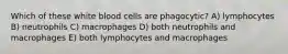 Which of these white blood cells are phagocytic? A) lymphocytes B) neutrophils C) macrophages D) both neutrophils and macrophages E) both lymphocytes and macrophages