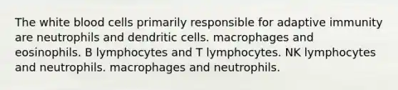 The white blood cells primarily responsible for adaptive immunity are neutrophils and dendritic cells. macrophages and eosinophils. B lymphocytes and T lymphocytes. NK lymphocytes and neutrophils. macrophages and neutrophils.