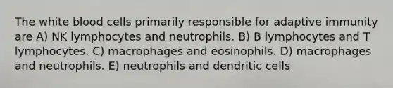 The white blood cells primarily responsible for adaptive immunity are A) NK lymphocytes and neutrophils. B) B lymphocytes and T lymphocytes. C) macrophages and eosinophils. D) macrophages and neutrophils. E) neutrophils and dendritic cells