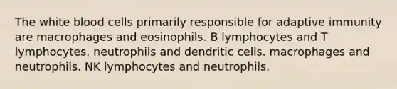 The white blood cells primarily responsible for adaptive immunity are macrophages and eosinophils. B lymphocytes and T lymphocytes. neutrophils and dendritic cells. macrophages and neutrophils. NK lymphocytes and neutrophils.