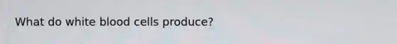 What do white blood cells produce?