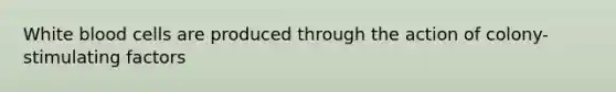 White blood cells are produced through the action of colony-stimulating factors