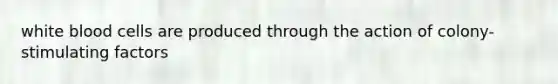 white blood cells are produced through the action of colony-stimulating factors