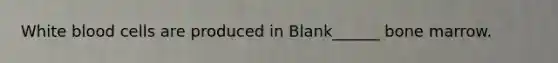 White blood cells are produced in Blank______ bone marrow.