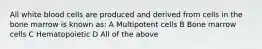 All white blood cells are produced and derived from cells in the bone marrow is known as: A Multipotent cells B Bone marrow cells C Hematopoietic D All of the above