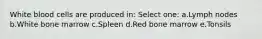 White blood cells are produced in: Select one: a.Lymph nodes b.White bone marrow c.Spleen d.Red bone marrow e.Tonsils