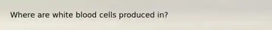 Where are white blood cells produced in?