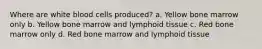 Where are white blood cells produced? a. Yellow bone marrow only b. Yellow bone marrow and lymphoid tissue c. Red bone marrow only d. Red bone marrow and lymphoid tissue