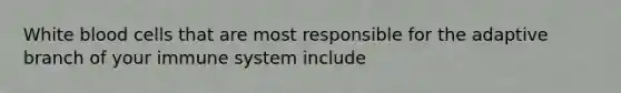 White blood cells that are most responsible for the adaptive branch of your immune system include