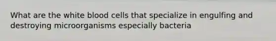 What are the white blood cells that specialize in engulfing and destroying microorganisms especially bacteria