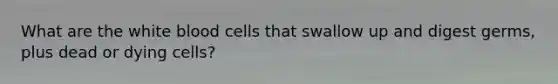 What are the white blood cells that swallow up and digest germs, plus dead or dying cells?
