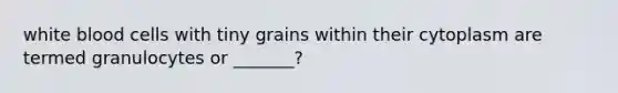 white blood cells with tiny grains within their cytoplasm are termed granulocytes or _______?