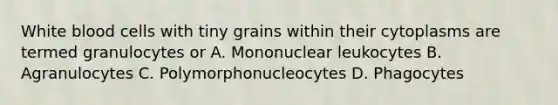 White blood cells with tiny grains within their cytoplasms are termed granulocytes or A. Mononuclear leukocytes B. Agranulocytes C. Polymorphonucleocytes D. Phagocytes