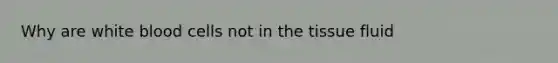 Why are white blood cells not in the tissue fluid