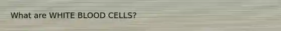 What are WHITE BLOOD CELLS?