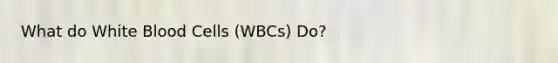 What do White Blood Cells (WBCs) Do?