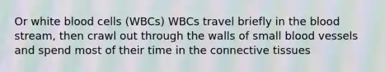 Or white blood cells (WBCs) WBCs travel briefly in the blood stream, then crawl out through the walls of small blood vessels and spend most of their time in the connective tissues