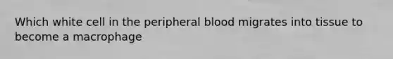 Which white cell in the peripheral blood migrates into tissue to become a macrophage