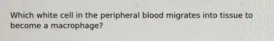 Which white cell in the peripheral blood migrates into tissue to become a macrophage?