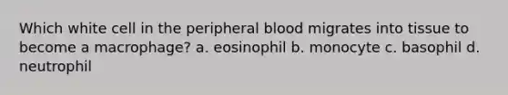 Which white cell in the peripheral blood migrates into tissue to become a macrophage? a. eosinophil b. monocyte c. basophil d. neutrophil