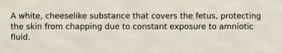 A white, cheeselike substance that covers the fetus, protecting the skin from chapping due to constant exposure to amniotic fluid.