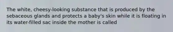 The white, cheesy-looking substance that is produced by the sebaceous glands and protects a baby's skin while it is floating in its water-filled sac inside the mother is called