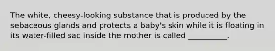 The white, cheesy-looking substance that is produced by the sebaceous glands and protects a baby's skin while it is floating in its water-filled sac inside the mother is called __________.