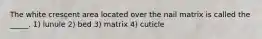 The white crescent area located over the nail matrix is called the _____. 1) lunule 2) bed 3) matrix 4) cuticle
