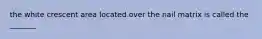 the white crescent area located over the nail matrix is called the _______