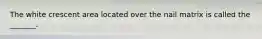 The white crescent area located over the nail matrix is called the _______.